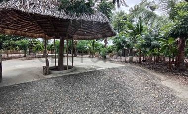 TERRENO DE OPORTUNIDAD PARA GRANDES EVENTOS