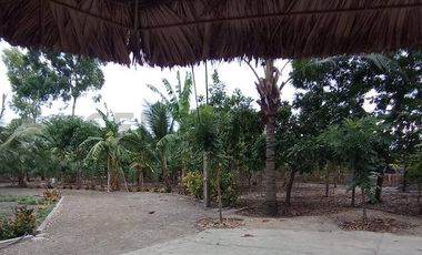 TERRENO DE OPORTUNIDAD PARA GRANDES EVENTOS