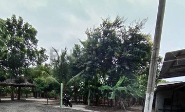 TERRENO DE OPORTUNIDAD PARA GRANDES EVENTOS
