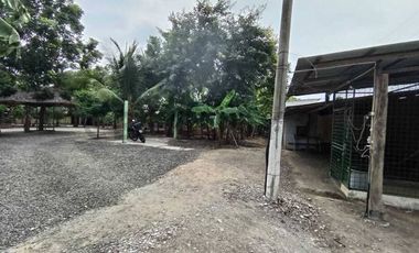 TERRENO DE OPORTUNIDAD PARA GRANDES EVENTOS