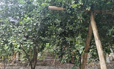 TERRENO DE OPORTUNIDAD PARA GRANDES EVENTOS