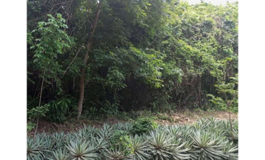 VENDO MACROLOTE EN LAGO DE CAPEIRA