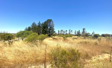 Terrenos en Venta en Litueche