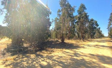 Terrenos en Venta en Litueche