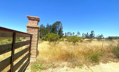 Terrenos en Venta en Litueche