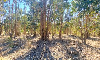Terrenos en Venta en Litueche
