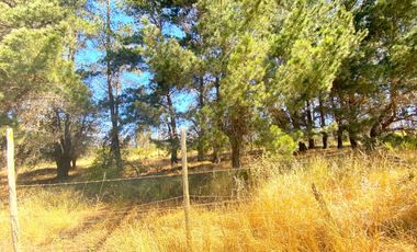 Terrenos en Venta en Litueche