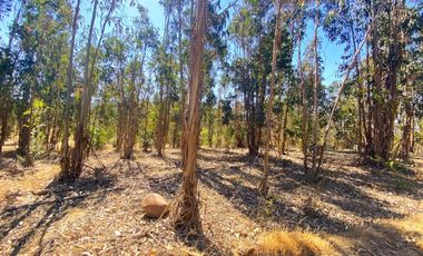 Terrenos en Venta en Litueche