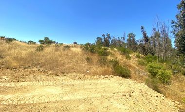 Terrenos en Venta en Litueche