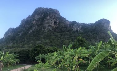 Land for sale in Na Yang, Phetchaburi