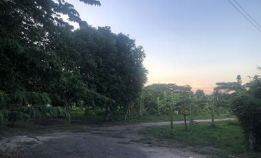 Land for sale in Na Yang, Phetchaburi