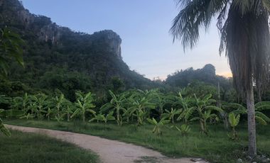 Land for sale in Na Yang, Phetchaburi