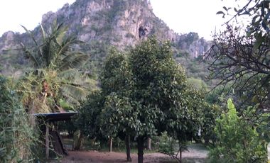 Land for sale in Na Yang, Phetchaburi