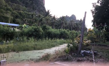 Land for sale in Na Yang, Phetchaburi