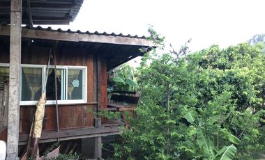 Land for sale in Na Yang, Phetchaburi