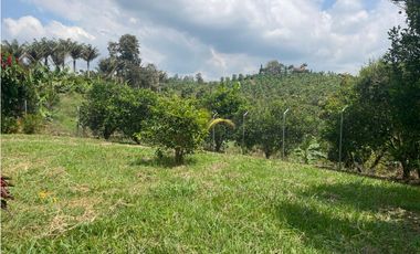 VENTA FINCA 3 CUADRAS FILANDIA - QUIMBAYA ( SIN CASA )