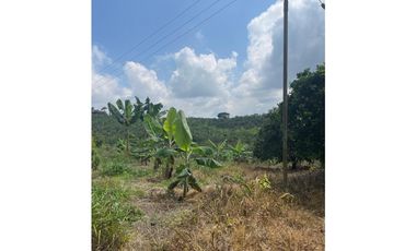 VENTA FINCA 3 CUADRAS FILANDIA - QUIMBAYA ( SIN CASA )