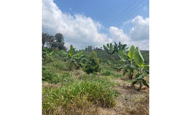 VENTA FINCA 3 CUADRAS FILANDIA - QUIMBAYA ( SIN CASA )
