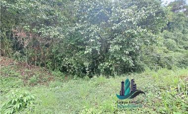 VENDO LOTE DE 7000M2 EN PARAISO