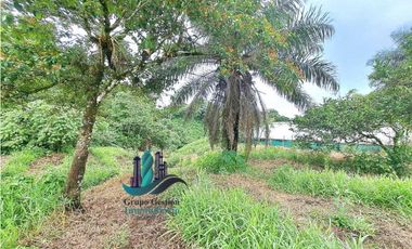 VENDO LOTE DE 7000M2 EN PARAISO