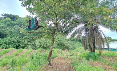 VENDO LOTE DE 7000M2 EN PARAISO