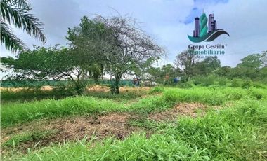 VENDO LOTE DE 7000M2 EN PARAISO