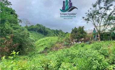 VENDO LOTE DE 7000M2 EN PARAISO