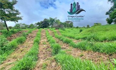 VENDO LOTE DE 7000M2 EN PARAISO