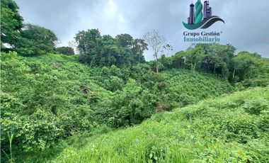 VENDO LOTE DE 7000M2 EN PARAISO