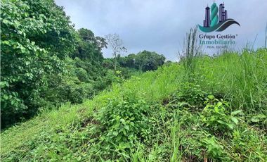 VENDO LOTE DE 7000M2 EN PARAISO