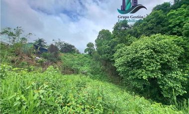 VENDO LOTE DE 7000M2 EN PARAISO