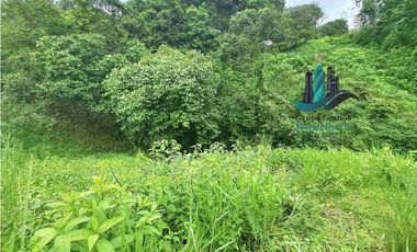 VENDO LOTE DE 7000M2 EN PARAISO