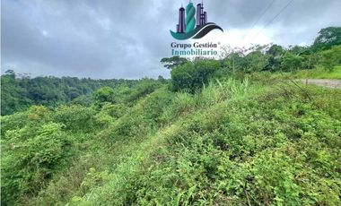 VENDO 1HA +6000M2 PARAISO