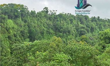 VENDO 1HA +6000M2 PARAISO