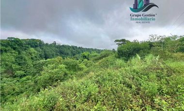 VENDO 1HA +6000M2 PARAISO