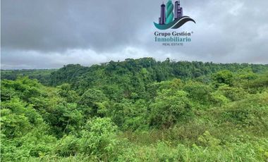 VENDO 1HA +6000M2 PARAISO