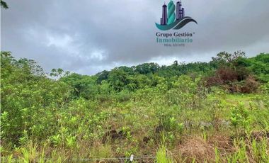 VENDO 1HA +6000M2 PARAISO