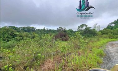 VENDO 1HA +6000M2 PARAISO