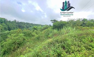 VENDO 1HA +6000M2 PARAISO