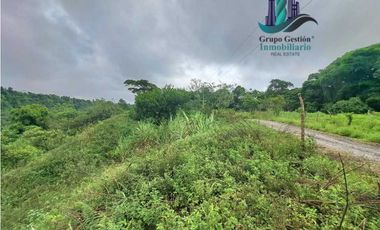 VENDO 1HA +6000M2 PARAISO