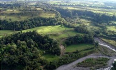 VENDO FINCA DE 135 HECTAREAS 900M.S.N.M.