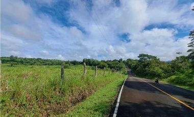 VENDO FINCA DE 135 HECTAREAS 900M.S.N.M.