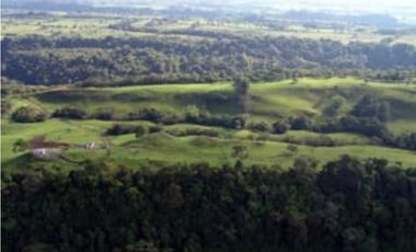 VENDO FINCA DE 135 HECTAREAS 900M.S.N.M.