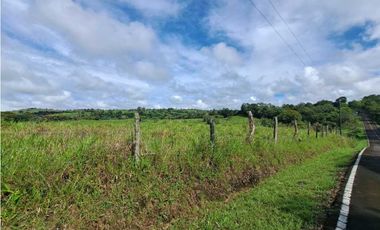 VENDO FINCA DE 135 HECTAREAS 900M.S.N.M.