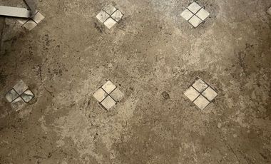 Casa única remodelada en la calle de Xalapa,colonia Roma Condominio horizontal