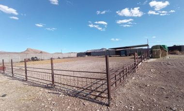 Venta de granja con casa uso habitacional, Aquiles Serdán