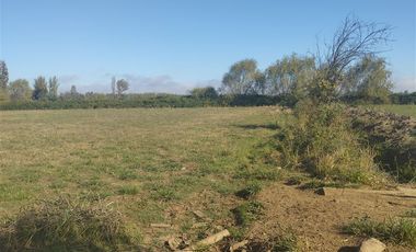 Agrícola en Venta en Mariposas 2 Norte, km 4