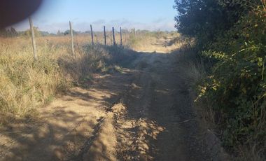 Agrícola en Venta en Mariposas 2 Norte, km 4