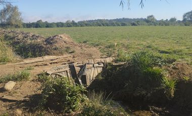 Agrícola en Venta en Mariposas 2 Norte, km 4