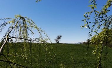Agrícola en Venta en Mariposas 2 Norte, km 4